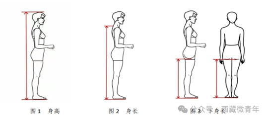 西藏自治區(qū)2025年普通高等學(xué)校招生藝術(shù)類（表<導(dǎo)>演類）專業(yè)報(bào)考簡介