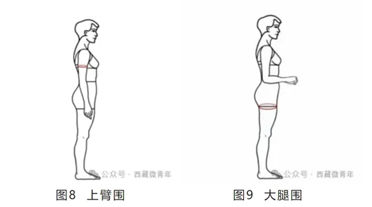 西藏自治區(qū)2025年普通高等學(xué)校招生藝術(shù)類（表<導(dǎo)>演類）專業(yè)報(bào)考簡介
