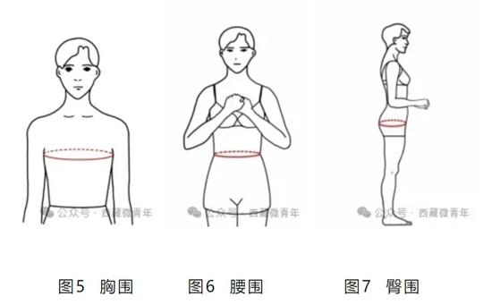 西藏自治區(qū)2025年普通高等學(xué)校招生藝術(shù)類（表<導(dǎo)>演類）專業(yè)報(bào)考簡介