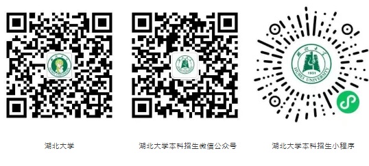 湖北大學(xué)2025年藝術(shù)類招生簡章