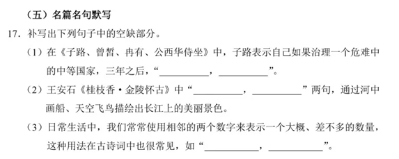 2025年高考綜合改革適應(yīng)性測(cè)試語文試題