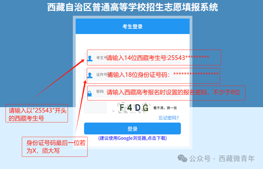 2025年西藏班高考志愿填報(bào)流程